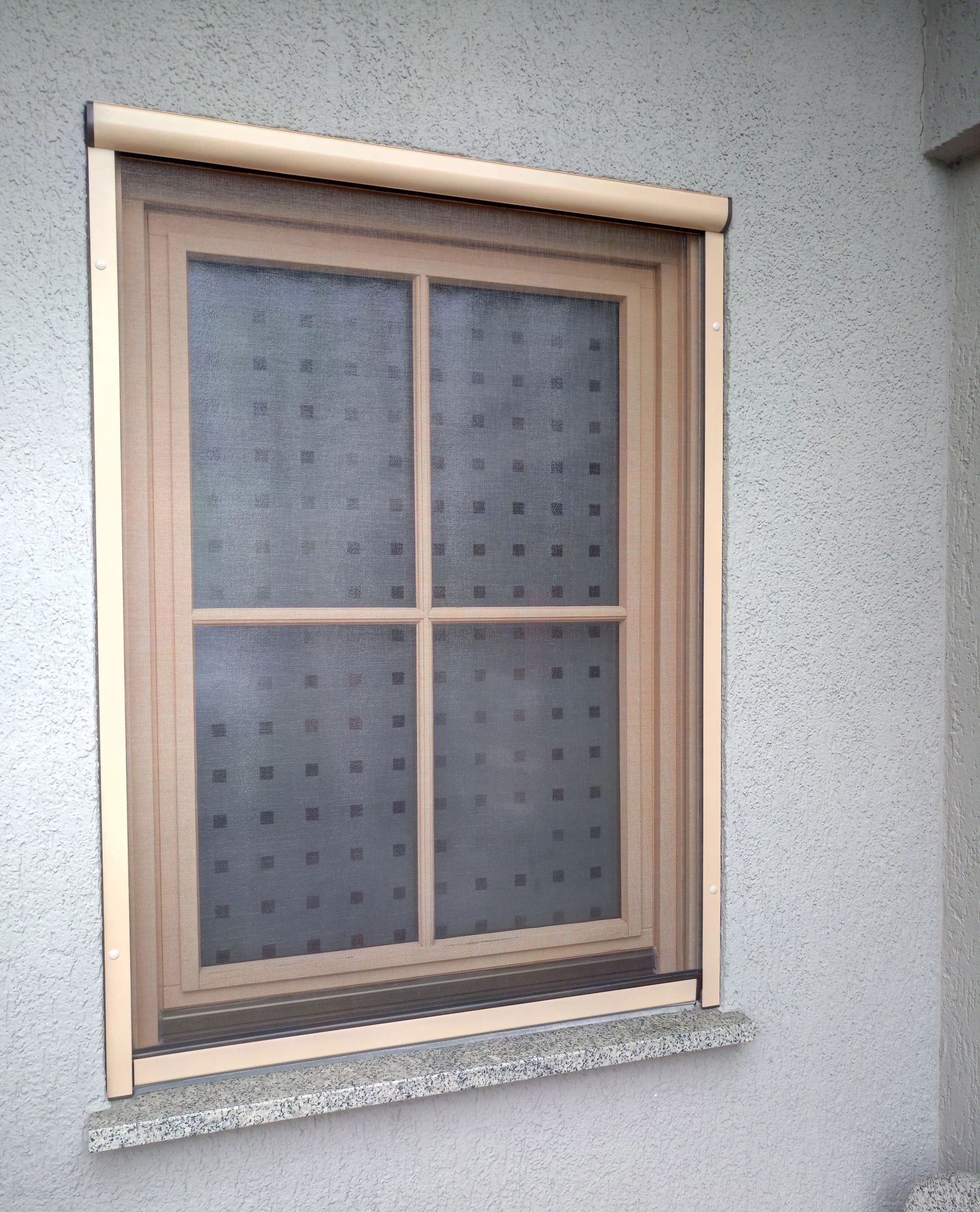 Fenster Rollo (1) Insektenschutz Holzner, hochwertiger Insektenschutz in Dresden, Meißen, Bautzen