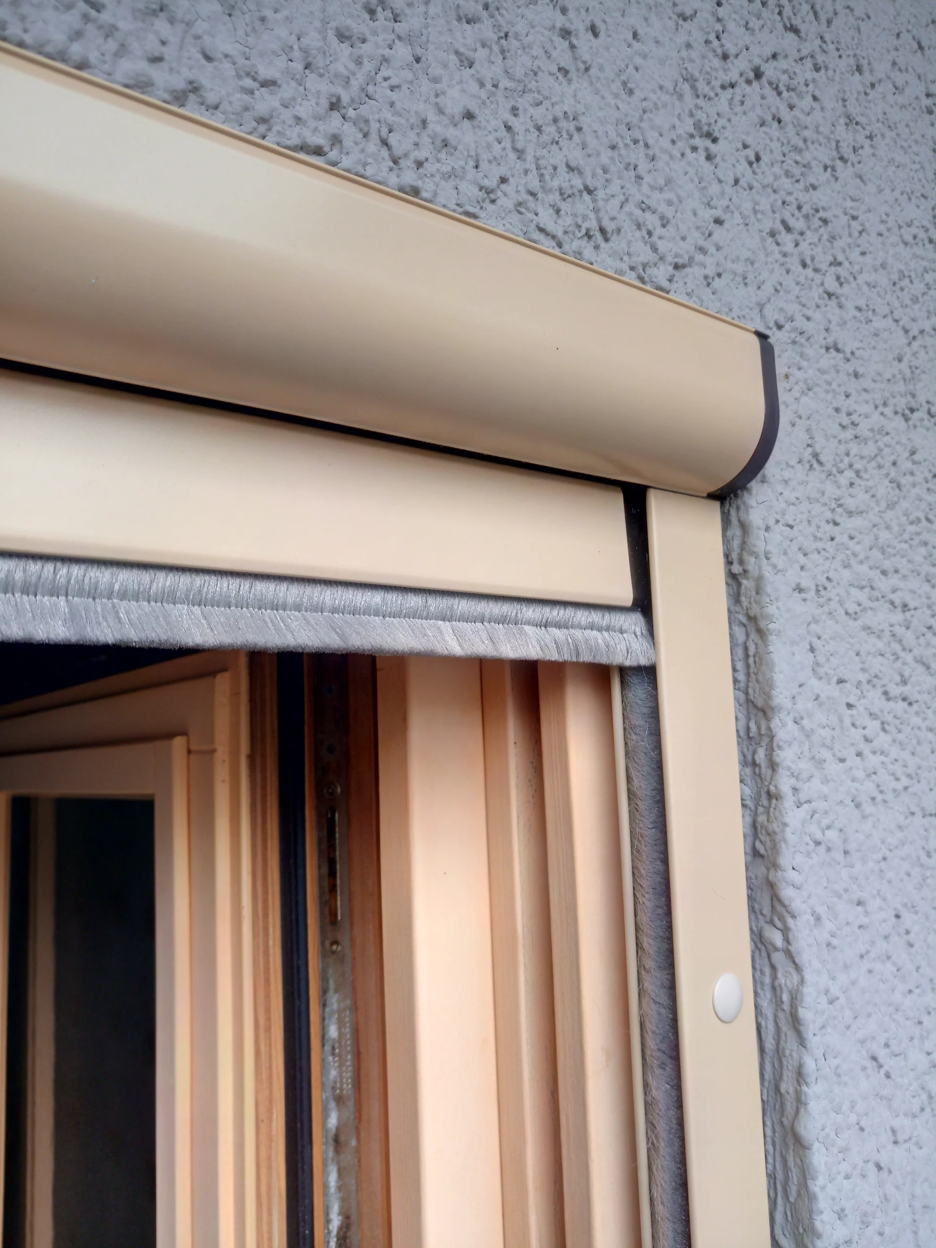 Fenster Rollo 2 Insektenschutz Holzner, hochwertiger Insektenschutz in Dresden, Meißen, Bautzen