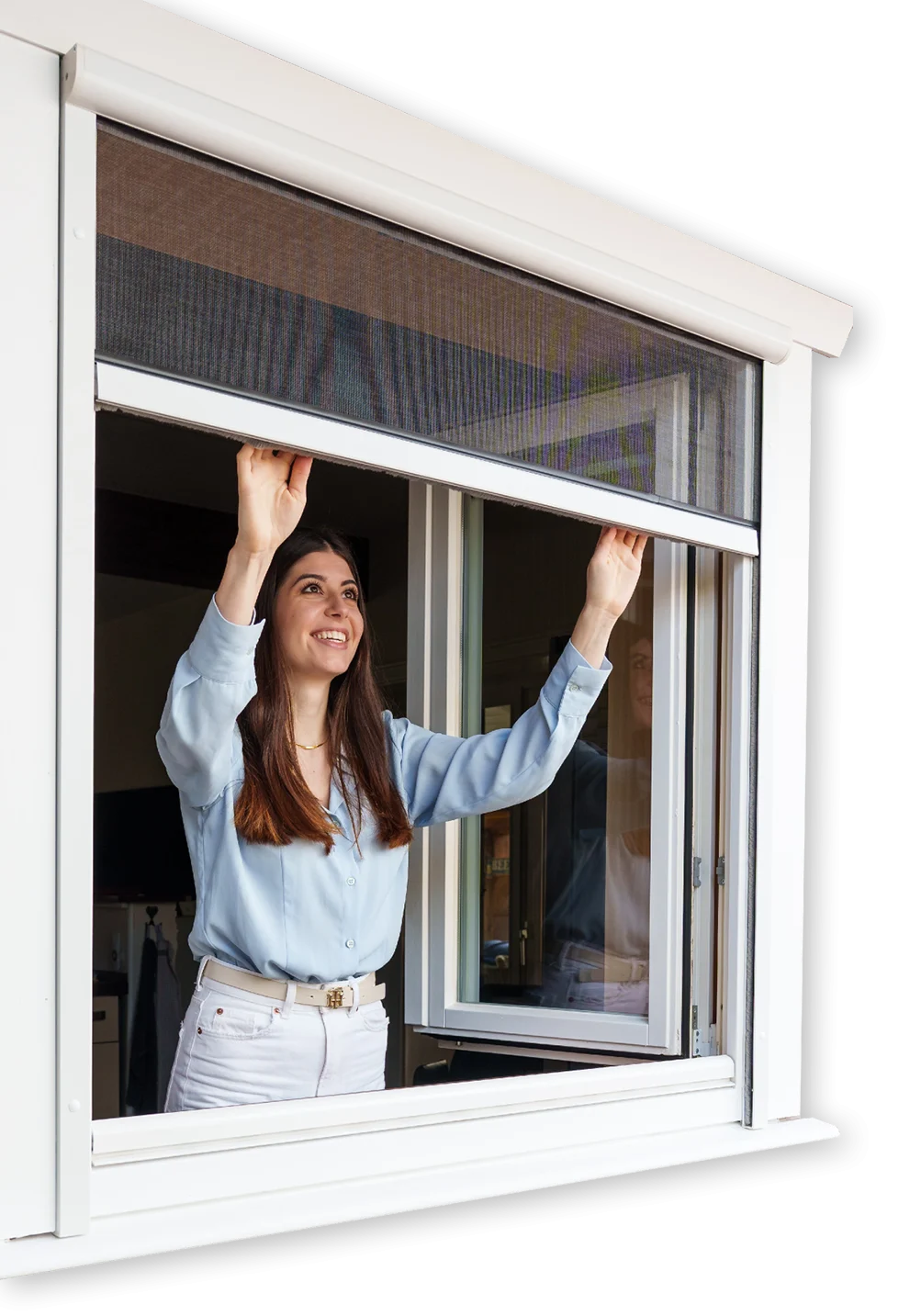 Startbild_Startseite_Fenster-einzeln Startbild Insektenschutz Holzner